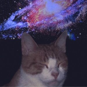 Meet your Posher, Evie